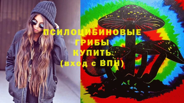 mix Каменка