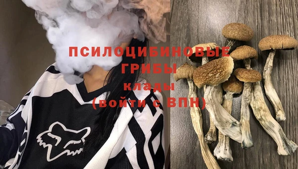гашишное масло Каменногорск