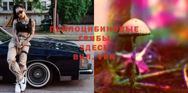 мет Каменск-Шахтинский