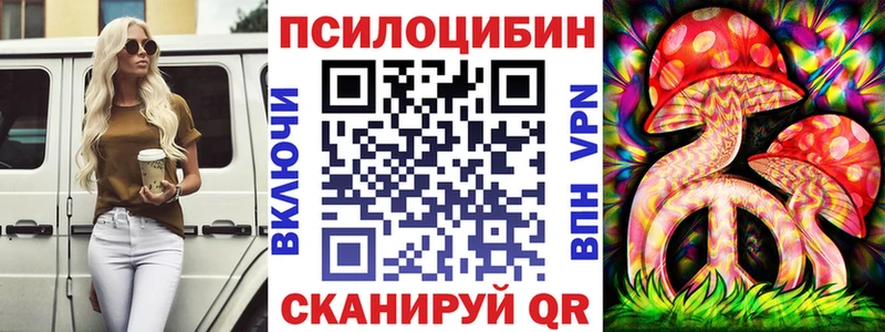 ОМГ ОМГ ТОР  Малгобек  Псилоцибиновые грибы Cubensis 